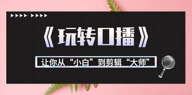 月营业额700万 大佬教您《玩转口播》让你从“小白”到剪辑“大师”-自由之翼资源网