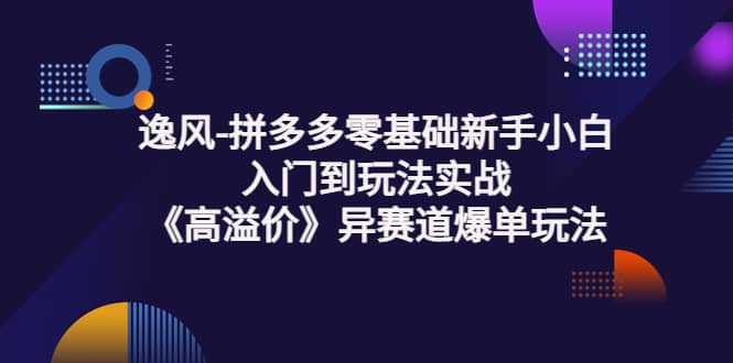 拼多多零基础新手小白入门到玩法实战《高溢价》异赛道爆单玩法实操课-自由之翼资源网