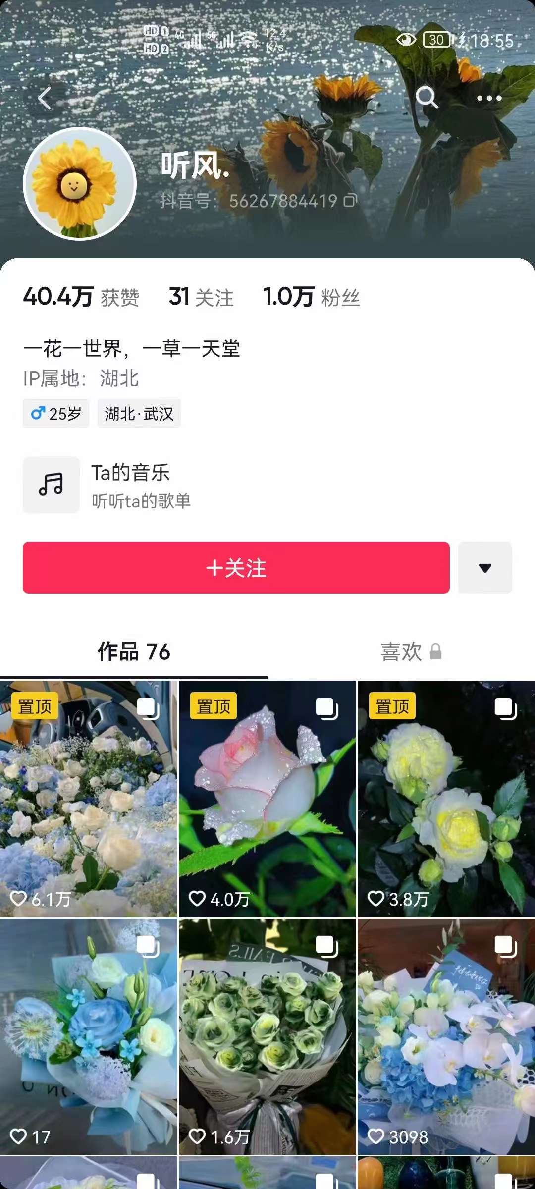 抖音壁纸变现项目：实战日入380 发布壁纸素材获取收益！-自由之翼资源网