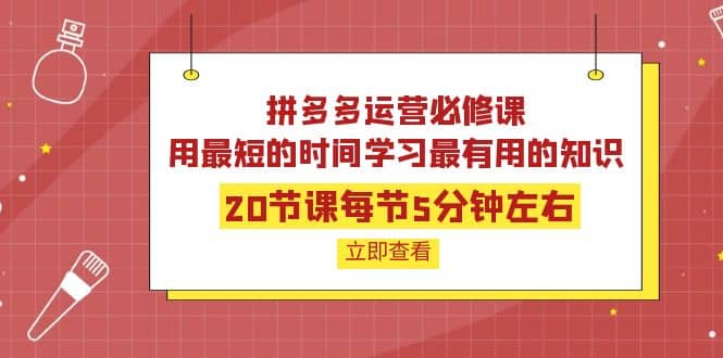 拼多多运营必修课：20节课每节5分钟左右，用最短的时间学习最有用的知识-自由之翼资源网