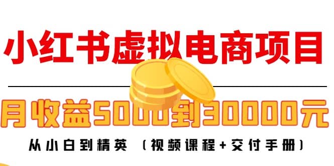 小红书虚拟电商项目：从小白到精英 (视频课程 交付手册)-自由之翼资源网