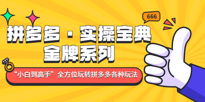 拼多多·实操宝典：金牌系列“小白到高手”带你全方位玩转拼多多各种玩法-自由之翼资源网