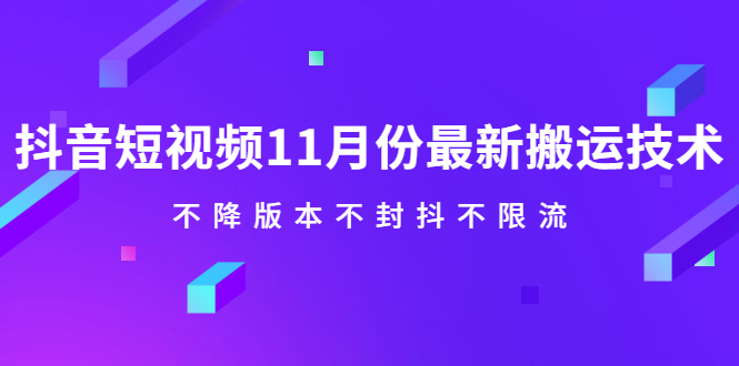 抖音短视频11月份最新搬运技术，不降版本不封抖不限流！【视频课程】-自由之翼资源网