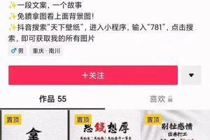 国潮壁纸变现项目，新手可操作日赚200 【素材 软件 教程】