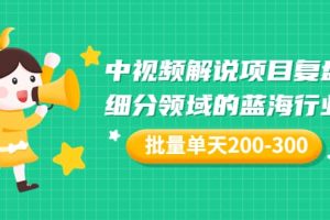 某付费文章：中视频解说项目复盘：细分领域的蓝海行业 批量单天200-300收益