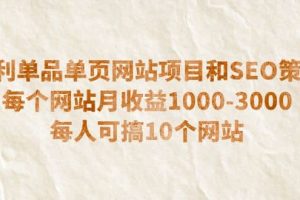 暴利单品单页网站项目和SEO策略 每个网站月收益1000-3000 每人可搞10个