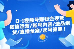 0-1视频号赚钱变现营：微信运营-账号内容-选品组货-直播全案-起号策略