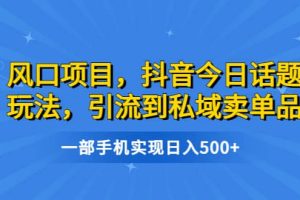 风口项目，抖音今日话题玩法，引流到私域卖单品，一部手机实现日入500