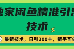 独家闲鱼引流技术，日引300＋实战玩法