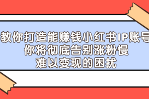 教你打造能赚钱小红书IP账号，了解透彻小红书的真正玩法