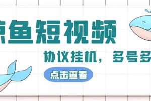 单号300 鲸鱼短视频协议挂机全网首发 多号无限做号独家项目打金(多号协议 教程)