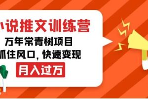 小说推文训练营，万年常青树项目，抓住风口