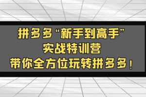 拼多多“新手到高手”实战特训营：带你全方位玩转拼多多