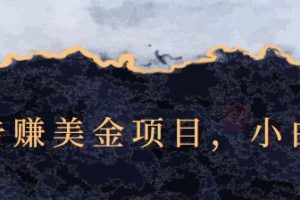 点击广告赚美金项目，小白可操作【视频课程】