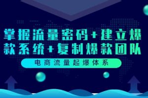 电商流量起爆体系：掌握流量密码 建立爆款系统 复制爆款团队（价值599）