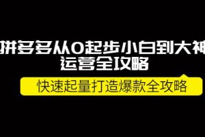 拼多多从0起步小白到大神运营全攻略