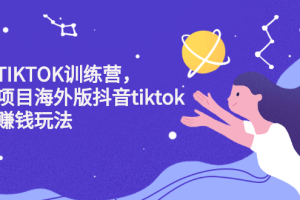 海外TIKTOK训练营，百万项目海外版抖音tiktok流量变现玩法