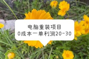 电脑系统重装项目，0成本一单利润20-30