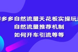 拼多多自然流量天花板实操玩法：自然流量推荐机制，如何开车引流等等