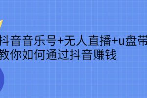 抖音音乐号 无人直播 u盘带货，教你如何通过抖音赚钱