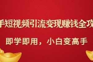 快手短视频引流变现赚钱全攻略：即学即用，小白变高手（价值980元）