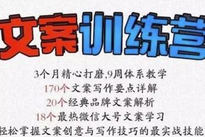 龙小天《文案训练营》全面系统解决文案写作难题！