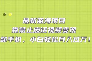 最新蓝海项目，靠禁止废话视频变现，一部手机，小白轻松月入过万！