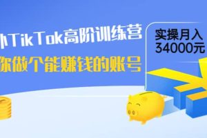 海外TikTok高阶训练营：教你做个能赚钱的账号，实操月入34000元！