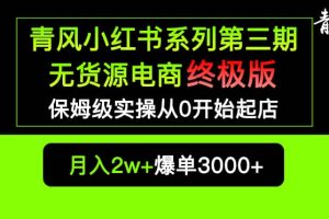 小红书无货源电商爆单终极版【视频教程 实战手册】保姆级实操从0起店爆单