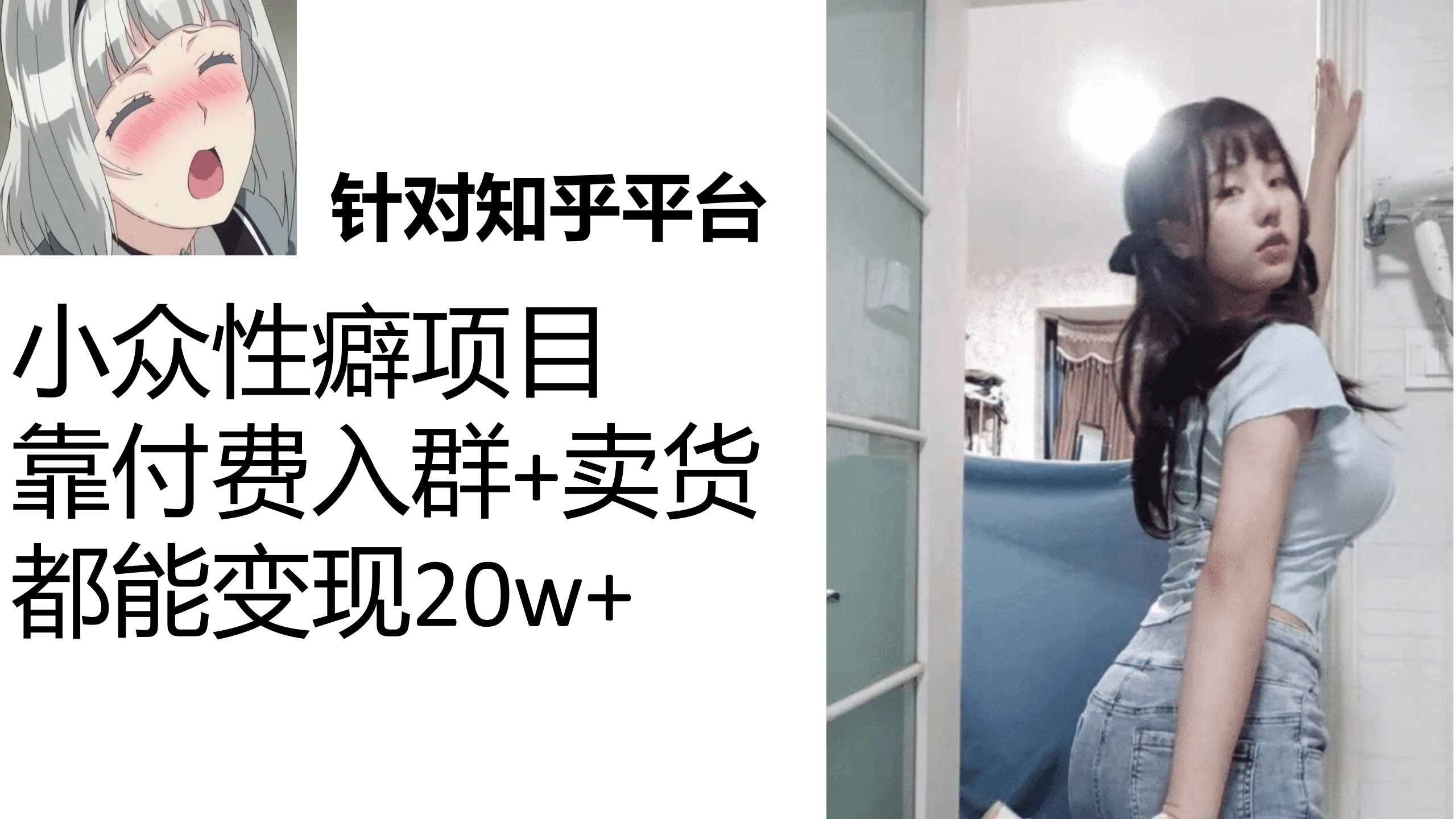 知乎小众性癖项目，Lsp的钱才是最好赚的，付费建群 卖货变现20w-自由之翼资源网