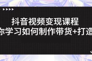 抖音短视频变现课程：带你学习如何制作带货 打造IP【41节】