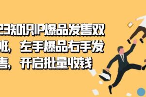 2023知识IP-爆品发售双 阶班，左手爆品右手发售，开启批量收钱