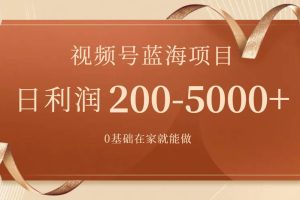 视频号蓝海项目，0基础在家也能做，一天200-5000 【附266G资料】