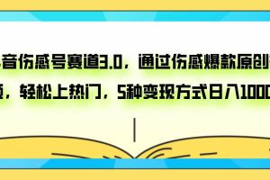 抖音伤感号赛道3.0，通过伤感爆款原创视频，轻松上热门，5种变现日入1000