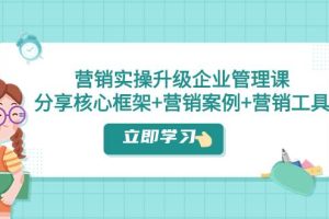 营销实操升级·企业管理课：分享核心框架 营销案例 营销工具（课程 文档）